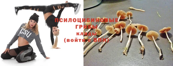 сатива Наволоки